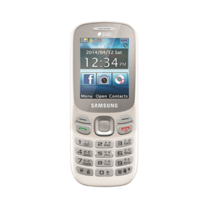 Samsung Metro 313